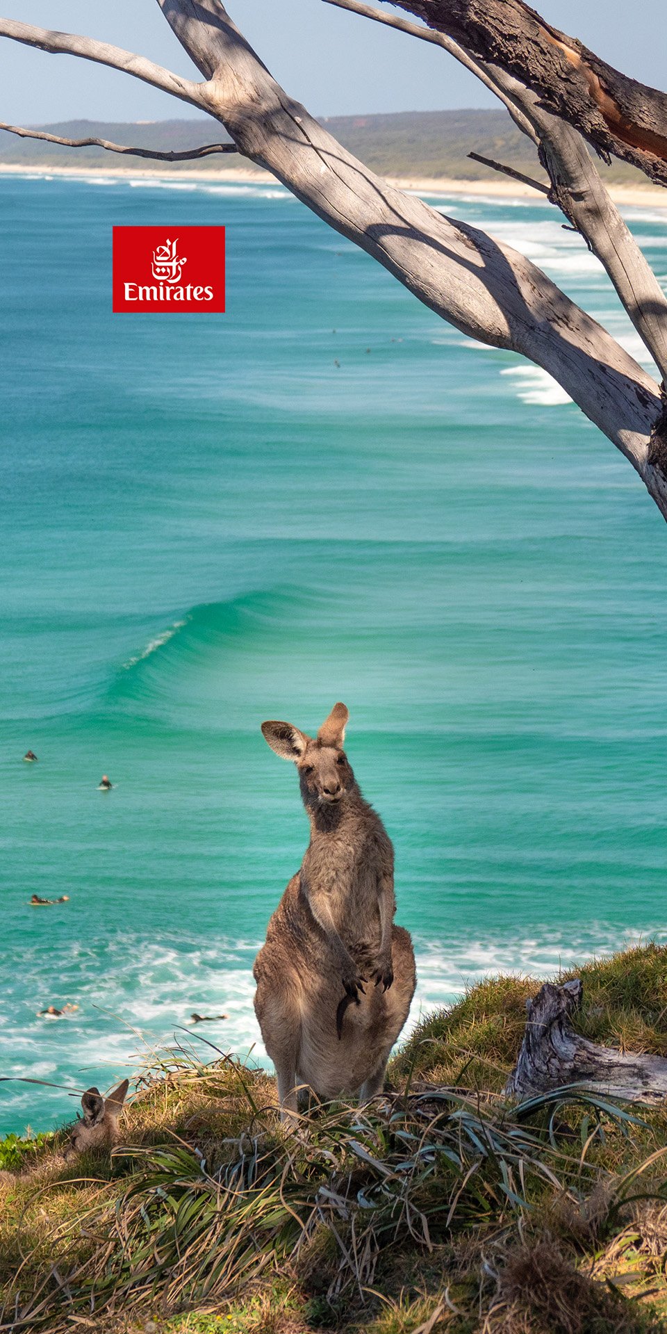 Fliegen Sie nach Queensland