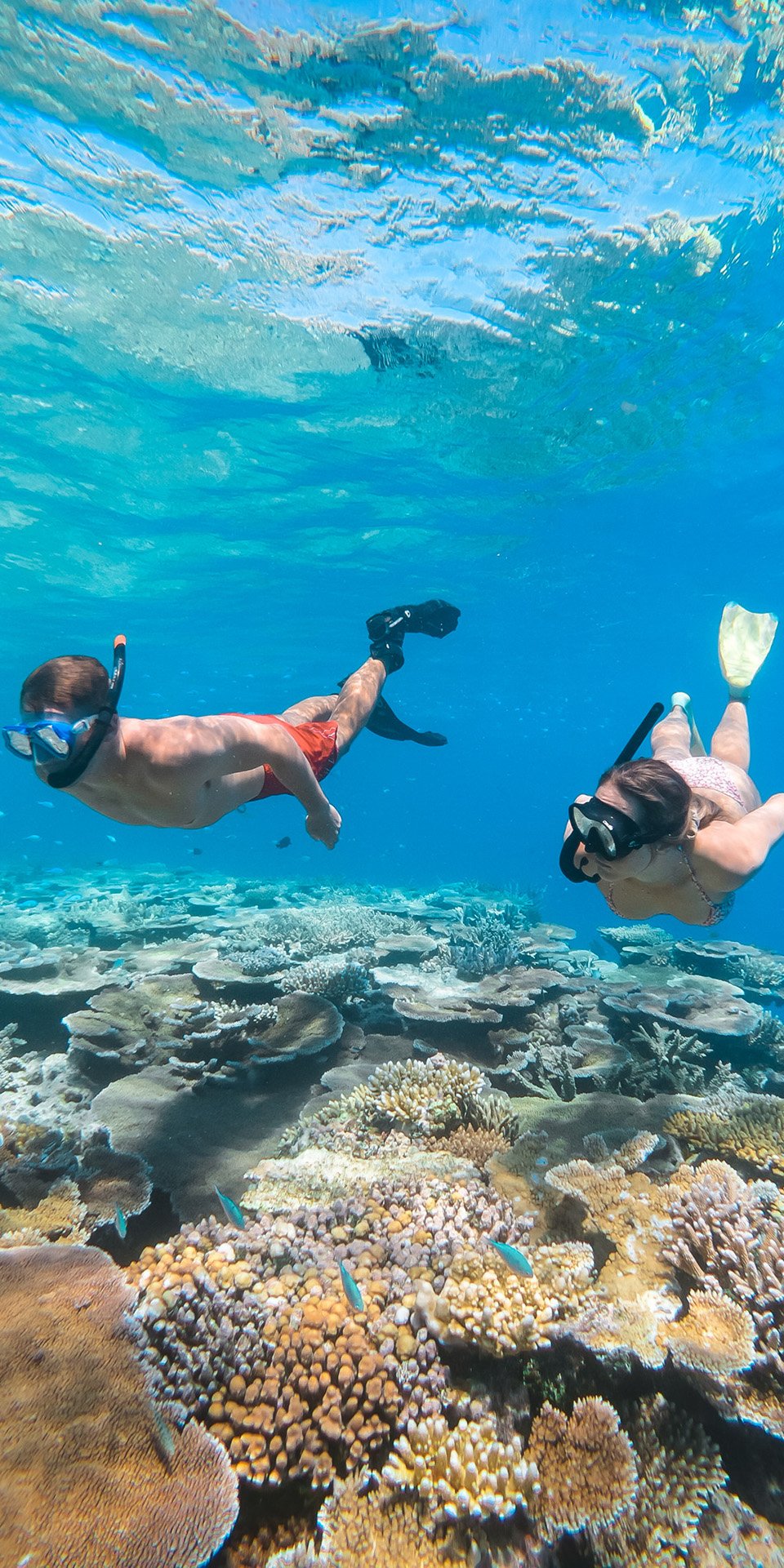 Great Barrier Reef